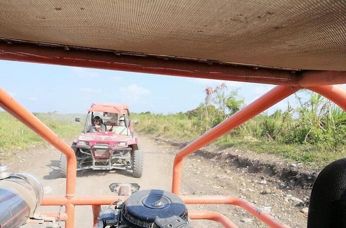 2 Person Buggy Tour - Price and Value: Is $118.44 for Two a Good Deal?