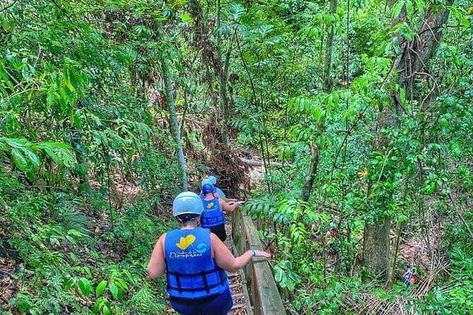 27 Waterfalls Damajagua Amber Cove, Taino Bay - Puerto Plata - The 35-minute forest walk to Waterfall No. 7