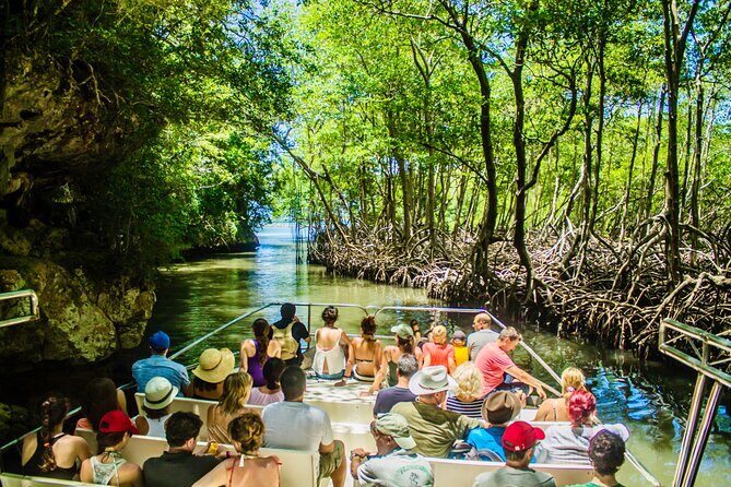 2in1: Los Haitises National Park + Yanigua Waterfall-SPA - Key highlights before you go