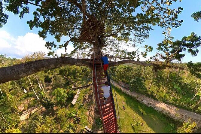 2in1: Los Haitises National Park + Yanigua Waterfall-SPA - The guiding is a big deal on this itinerary