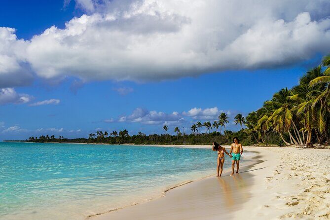 6 Hour Private Saona Island Tour with Snorkeling - Playa Palmillas and the trip back to Bayahibe