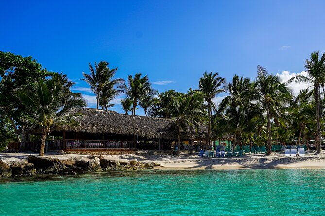 6 Hour Private Saona Island Tour with Snorkeling - Price and value for a group up to 8