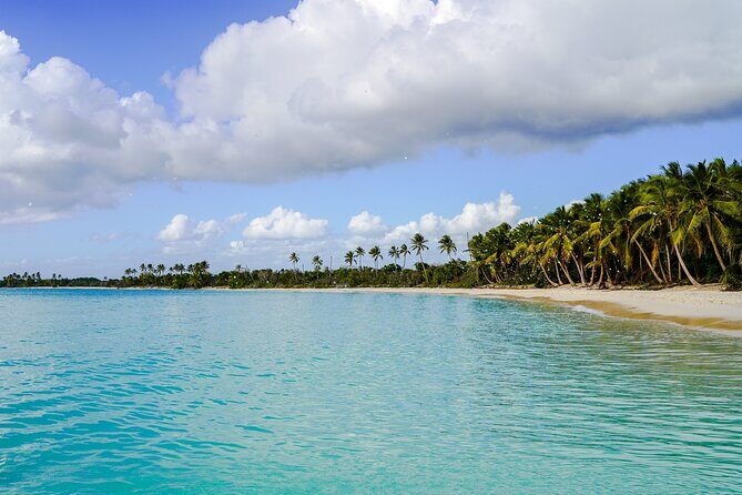 6 Hour Private Saona Island Tour with Snorkeling - Getting to Bayahibe and meeting your crew