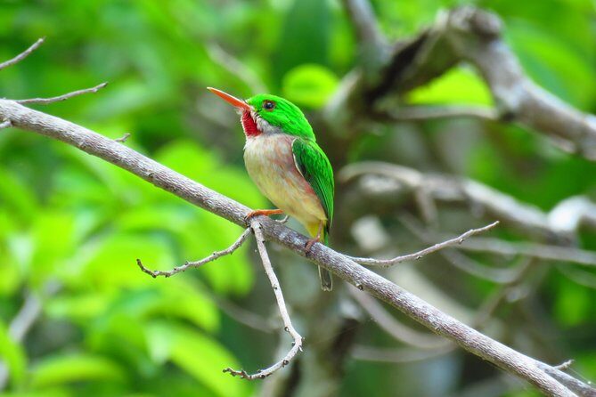 7 Hour- Private Nature Tour of the Monte Plata Rainforest - A private vehicle + pickup: less stress, more waterfall time
