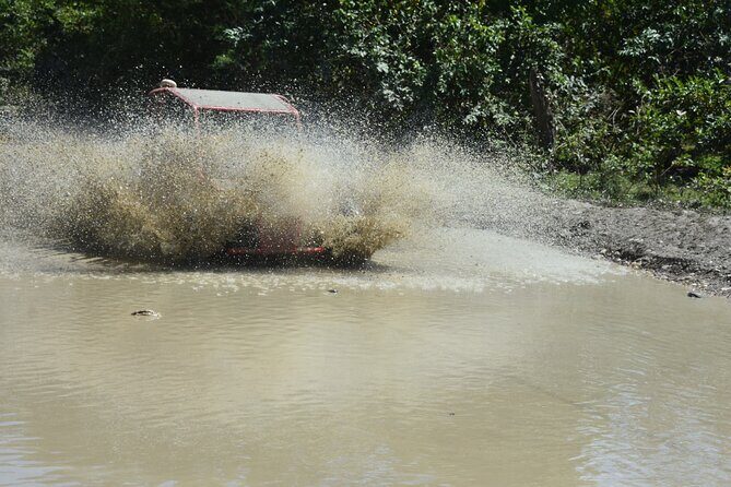 7 Waterfalls Damajagua and Dune Buggy - Damajagua and the buggy: what this day really feels like