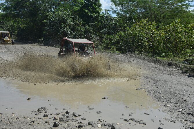 7 Waterfalls Damajagua and Dune Buggy - The 7 waterfalls experience: where the day gets memorable