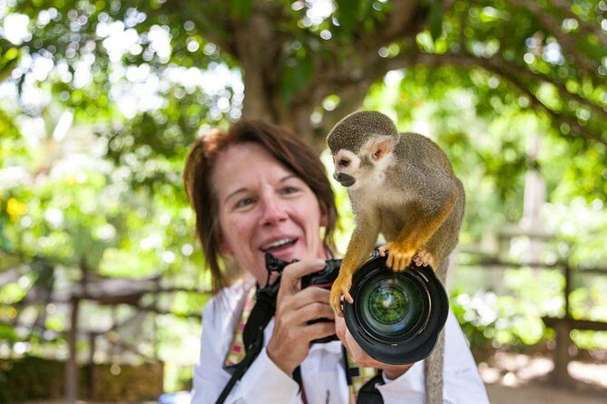 Adventure Bundle: Monkeyland, Ziplines & Buggies Punta Cana - Buggy Driving to Anamuya River: Easy-Plus, Mud-Ready, Swim-Optional
