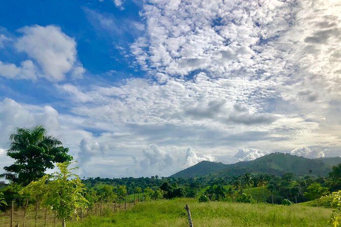 Adventure Bundle: Monkeyland, Ziplines & Buggies Punta Cana - Who This Tour Fits Best (And Who Might Prefer Something Else)