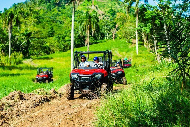 Adventure Bundle: Monkeyland, Ziplines & Buggies Punta Cana - Pickup, Meeting Point, and the Timing Reality