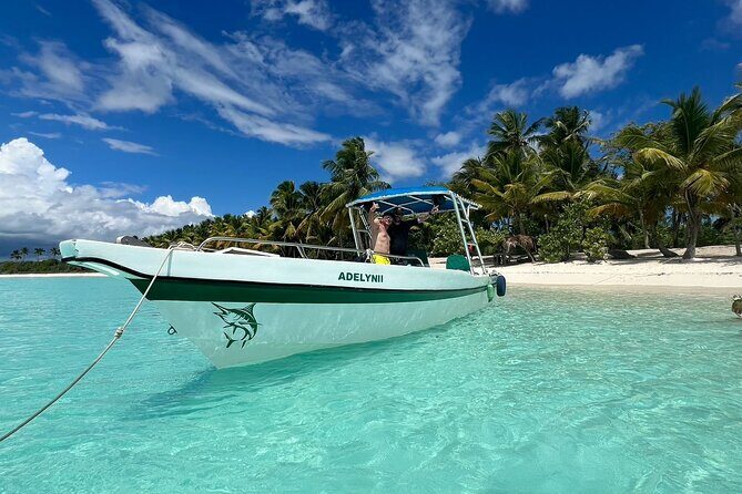 All Inclusive Saona Private Boat Tour from 165 USD p/P - Key highlights worth planning for