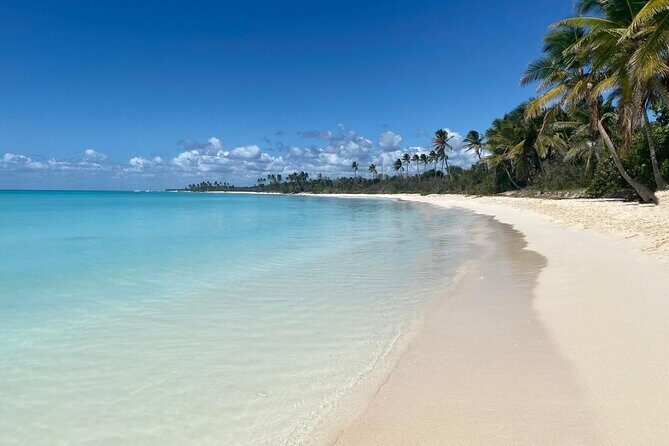 All Inclusive Saona Private Boat Tour from 165 USD p/P - Price and logistics: what you’re really paying for