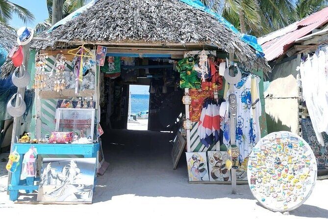 All Inclusive Saona Private Boat Tour from 165 USD p/P - Why the private format changes everything