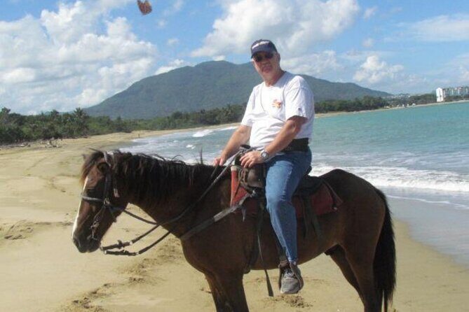 Amazing 3-Hour Horseback Riding at Puerto Plata with Pickup - Horses, care, and what to watch for