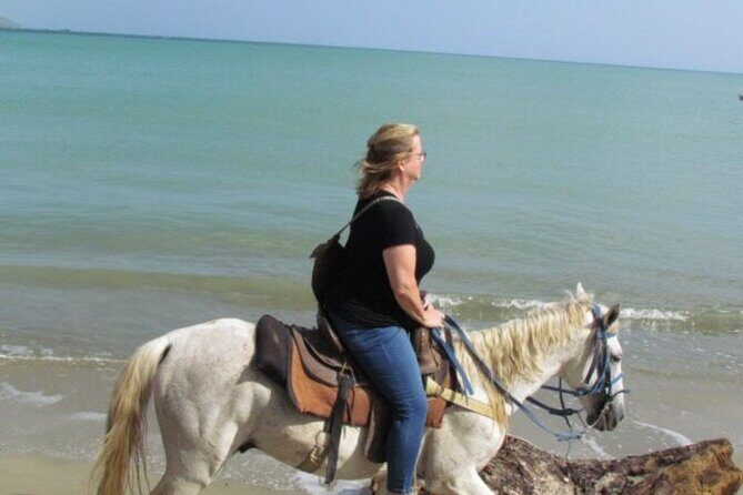 Amazing 3-Hour Horseback Riding at Puerto Plata with Pickup - Group ride reality: the pros and the trade-offs
