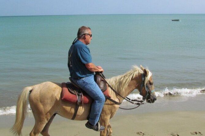Amazing 3-Hour Horseback Riding at Puerto Plata with Pickup - What to bring (so your ride stays fun)