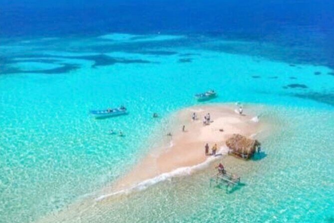 Amazing Paradise Island + Snorkeling-Mangrove Tour & Locale Food. - Quick take: the highlights that matter