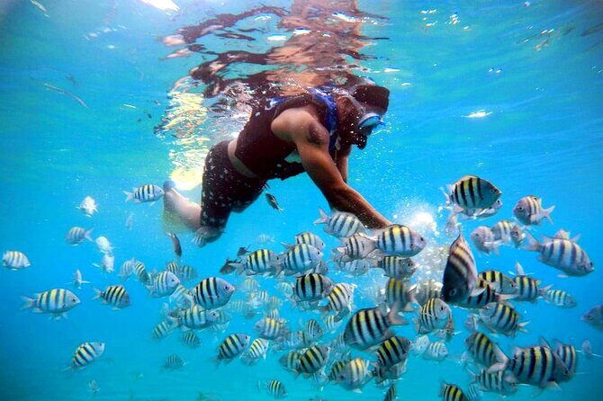 Amazing Paradise Island + Snorkeling-Mangrove Tour & Locale Food. - The Dominican countryside reset: quick culture and views on the road