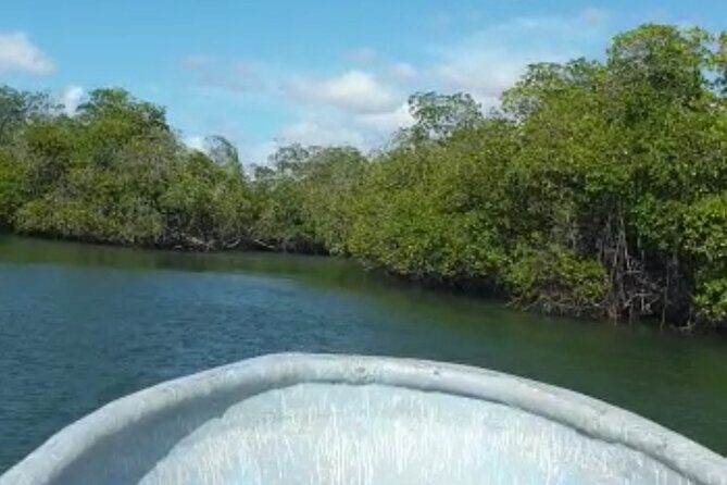 Amazing Paradise Island + Snorkeling-Mangrove Tour & Locale Food. - Price and logistics: why the $85 can be a strong value