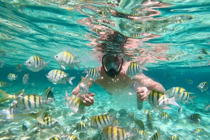 Amazing Paradise Island + Snorkeling-Mangrove Tour & Locale Food. - Bathroom reality: plan for limited access during a long day