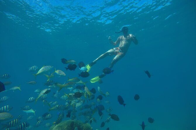 Amazing Paradise Island + Snorkeling-Mangrove Tour & Locale Food. - Guides, language, and the feel of the group