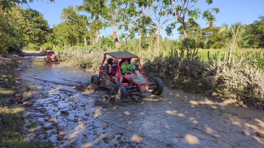 Amber Cove & Taino Bay: Buggy Tour with Swimming & Tasting - Price and value: what $125 per group up to 2 buys you