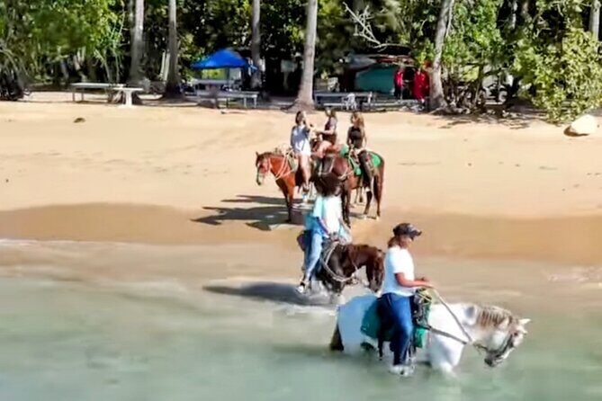 AMBER COVE-TAINO BAY Horses Beach Ride & City Sightseeing - Key things to know before you go