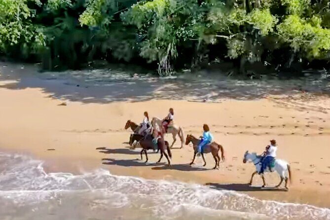 AMBER COVE-TAINO BAY Horses Beach Ride & City Sightseeing - Pickup and timing: getting out of the cruise zone