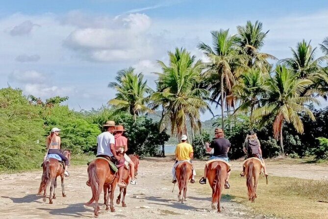 AMBER COVE-TAINO BAY Horses Beach Ride & City Sightseeing - Shopping time: be prepared for some detours