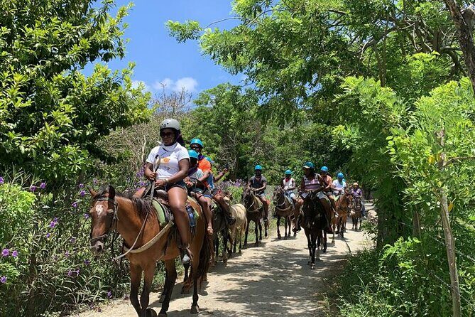 ATV and Horse Riding in Puerto Plata / Shore Excursion & Hotel - Key takeaways before you go