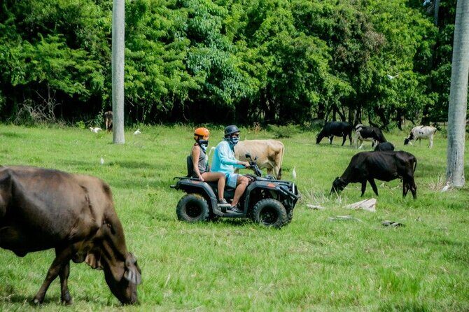 ATVs Fun Tour from Amber Cove and Taino Bay Puerto Plata - The Beach Break: A Short Swim, Big Contrast