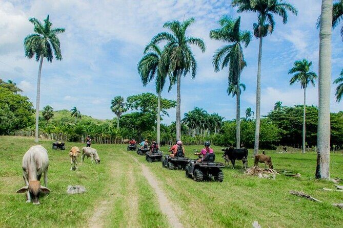 ATVs Fun Tour from Amber Cove and Taino Bay Puerto Plata - Practical Tips for a Smoother Ride