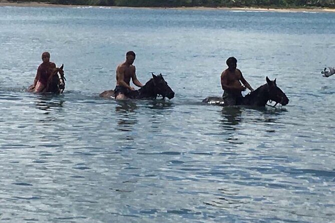 Beach Horse Ride with countryside amber cove & Taino Bay - Beach Riding: Puerto Plata Coast Views From the Saddle