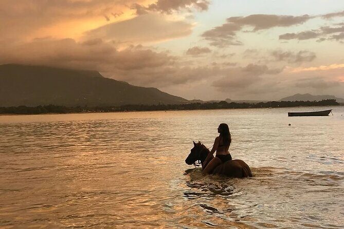 Beach Horseback Ride Tour in Puerto Plata - Scenic & Fun for All - How the 2.5-hour Bergantín Beach ride really unfolds