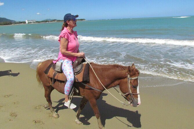 Beach Horseback Ride Tour in Puerto Plata - Scenic & Fun for All - Beach bar stop: drinks, souvenirs, and a more local-feeling pace