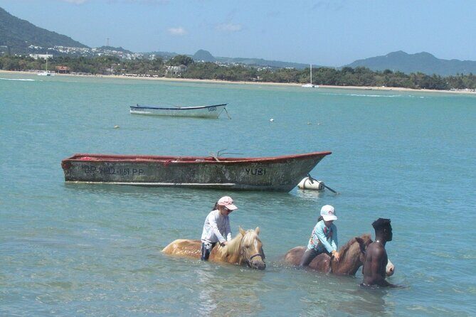 Beach Horseback Ride Tour in Puerto Plata - Scenic & Fun for All - Price and value: why $70 can make sense here