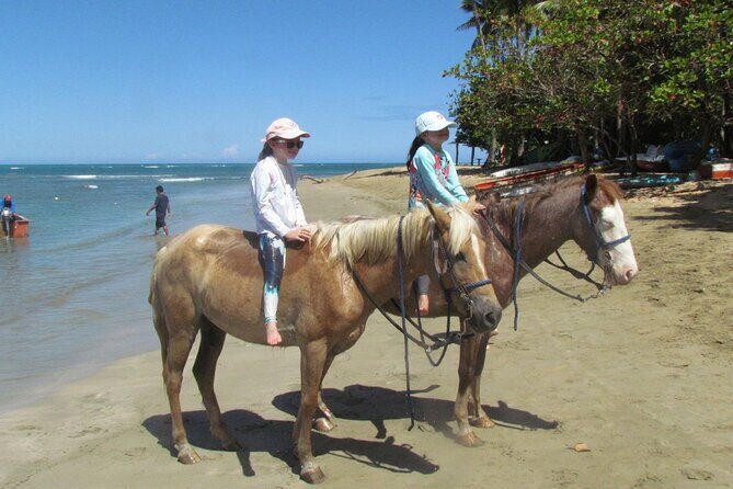 Beach Horseback Ride Tour in Puerto Plata - Scenic & Fun for All - English support, guides, and how to make the ride smoother