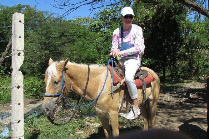 Beach Horseback Ride Tour in Puerto Plata - Scenic & Fun for All - Who should book this Puerto Plata horseback ride