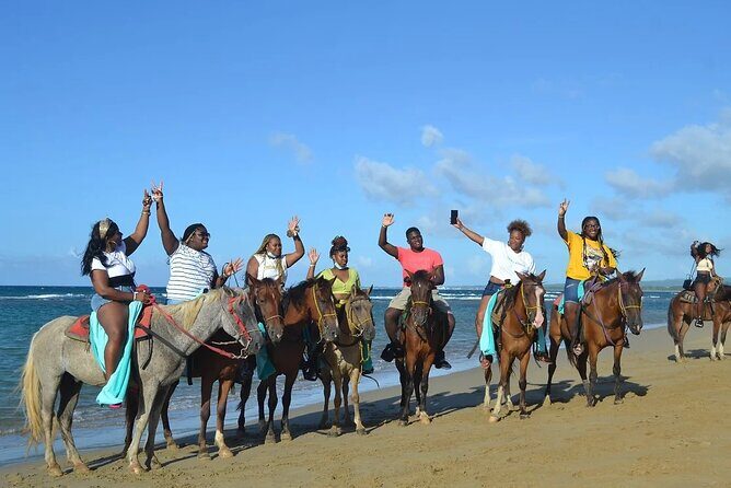Beach Horseback Ride Tour in Puerto Plata - Scenic & Fun for All - Horses, safety, and the 250-pound limit that’s taken seriously