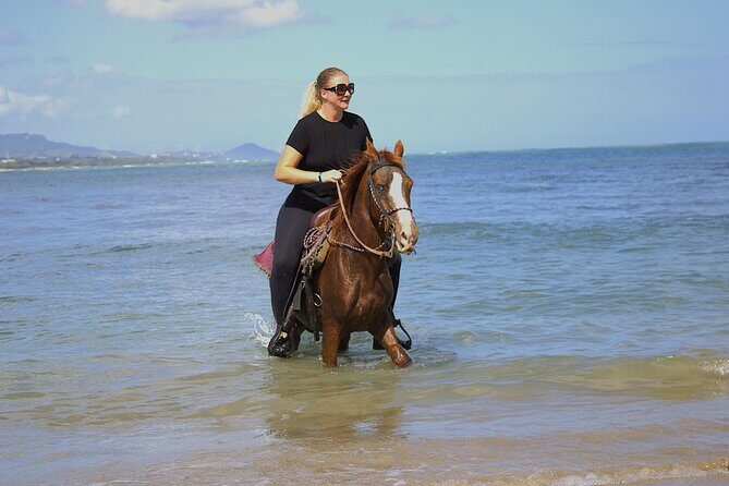 Beach Horseback Riding and Swim Horse in Puerto Plata - Key things you should know before you go