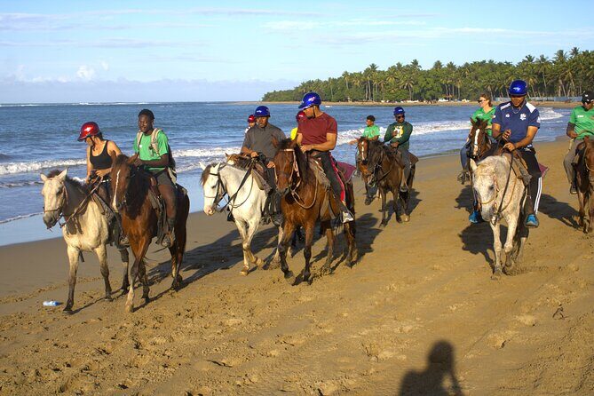 Beach Horseback Riding and Swim Horse in Puerto Plata - The big hook: horseback riding that actually gets to the water