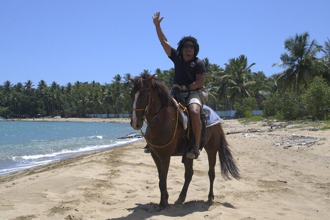 Beach Horseback Riding and Swim Horse in Puerto Plata - Stop 2: Bergantin beach break, then horses into the sea (about 2 hours)