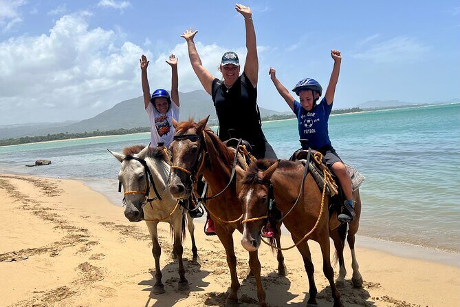 Beach Horseback Riding and Swim Horse in Puerto Plata - The horses and safety: calm guides, helmets, and real control
