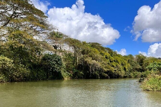 Buggy Expedition, Norwegian SKY Cruise Passenger from La Romana - Local products with Nilo: wood-fire cooking, cassava, plantain, and more