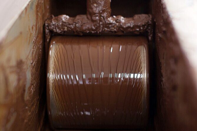 Cacao Plantation and Chocolate Factory Tour- Classic - Price and timing: what $60 buys you in real value
