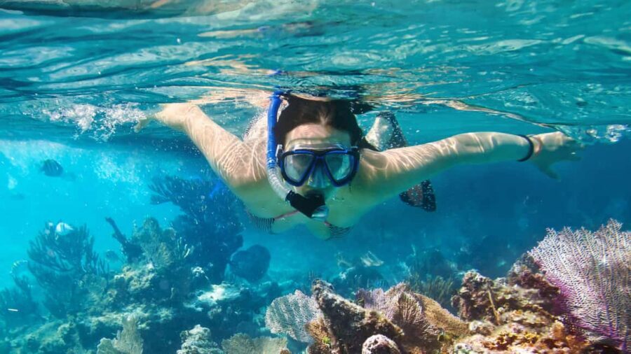 Catalina Island, even more pristine than Saona - Island Beach Time: How to Find the Best Vantage Points