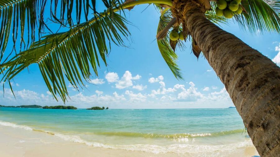 Catalina Island, even more pristine than Saona - Getting There From Bávaro: The Bus and Dock Reality Check