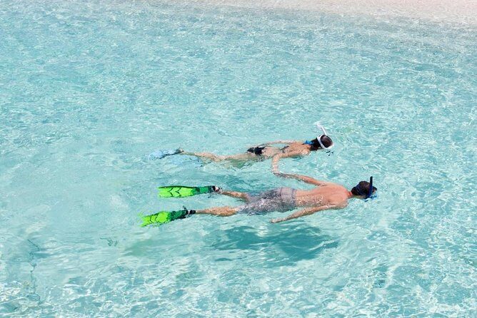 Catalina Island Scuba Diving and Snorkeling Tour from Punta Cana - Key things to know before you go