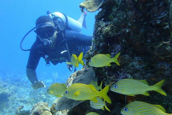 Catalina Island Scuba Diving and Snorkeling Tour from Punta Cana - Getting set up with equipment and safety guidance