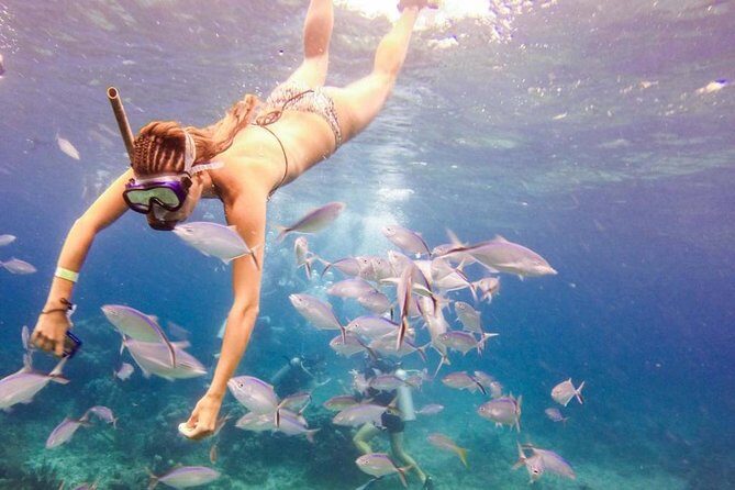 Catalina Island & Snorkeling Paradise From Punta Cana - Key highlights before you go