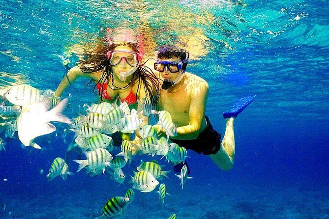 Catalina Island & Snorkeling Paradise From Punta Cana - Caribbean Reef Wall snorkeling with an instructor: how to get the best results